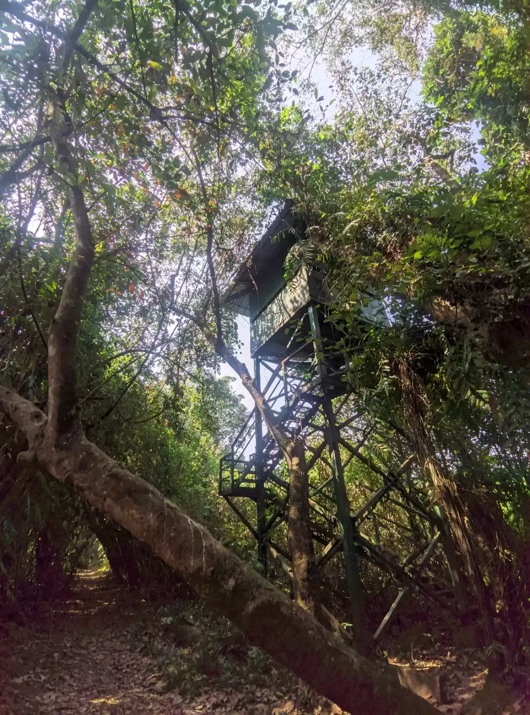 Photo of Kumarakom Bird Sanct