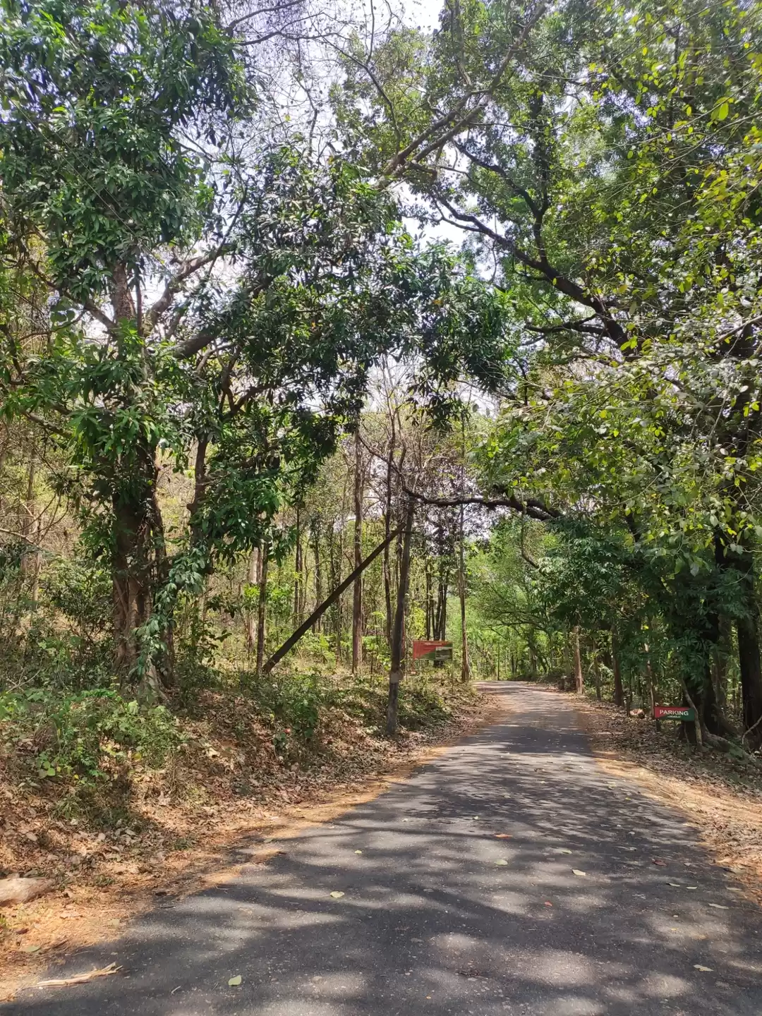 Photo of Panamkuzhy Eco Touri