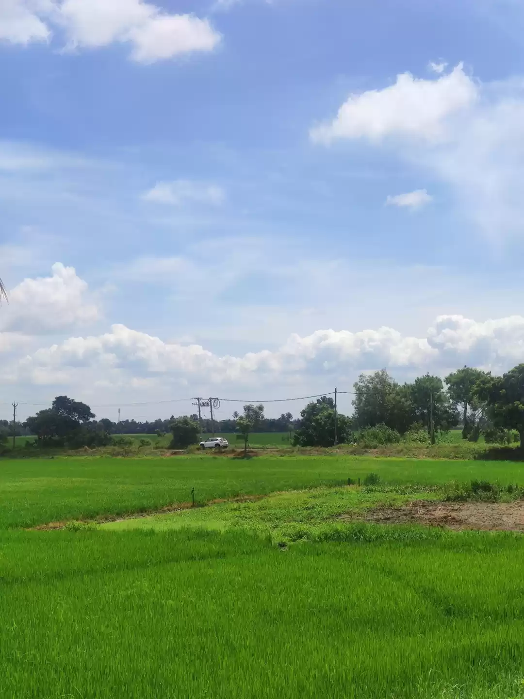 Photo of Kainakary, Alappuzha