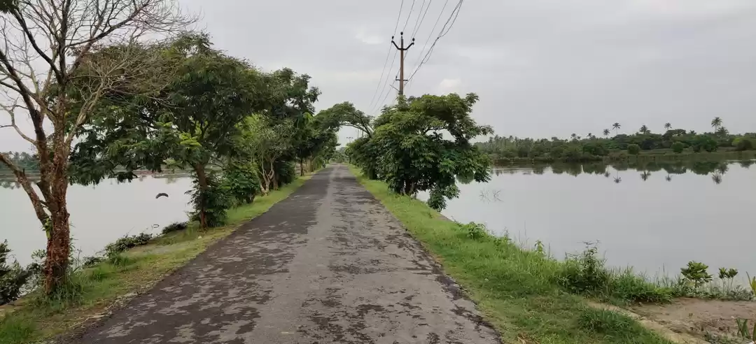 Photo of Kadamakkudy, Ernakul