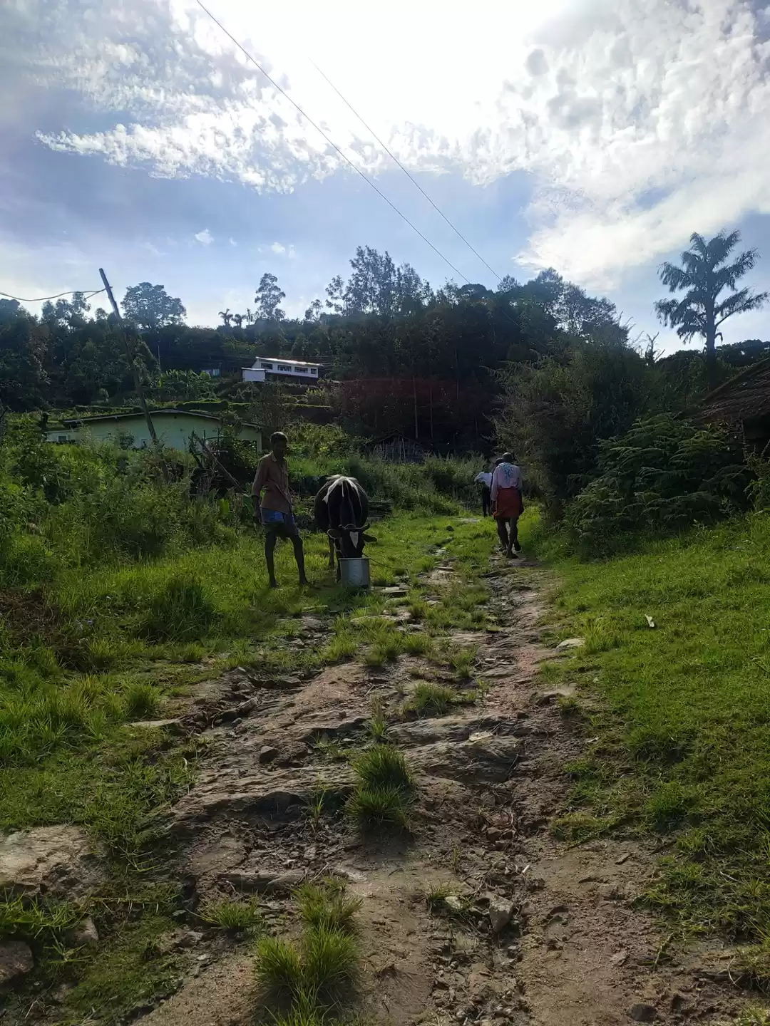 Photo of Kanthalloor, Idukki