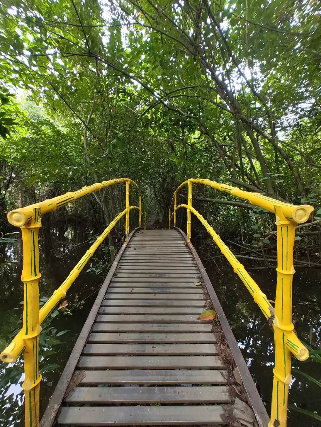 Photo of Kumarakom Bird Sanct