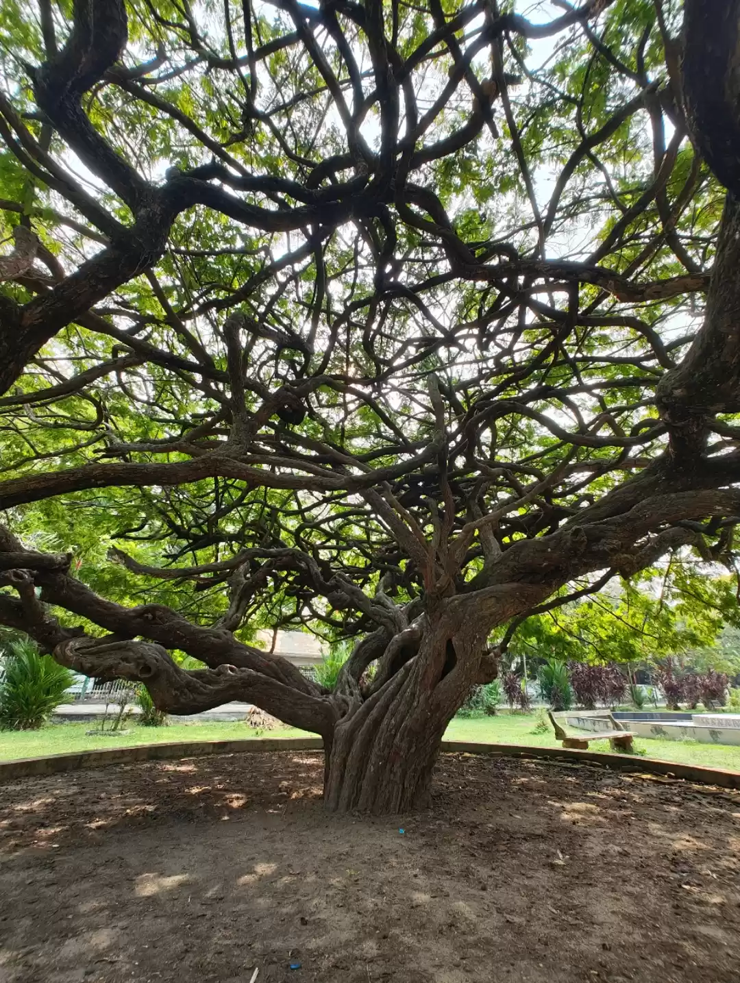 Photo of Subash Park, Ernakul