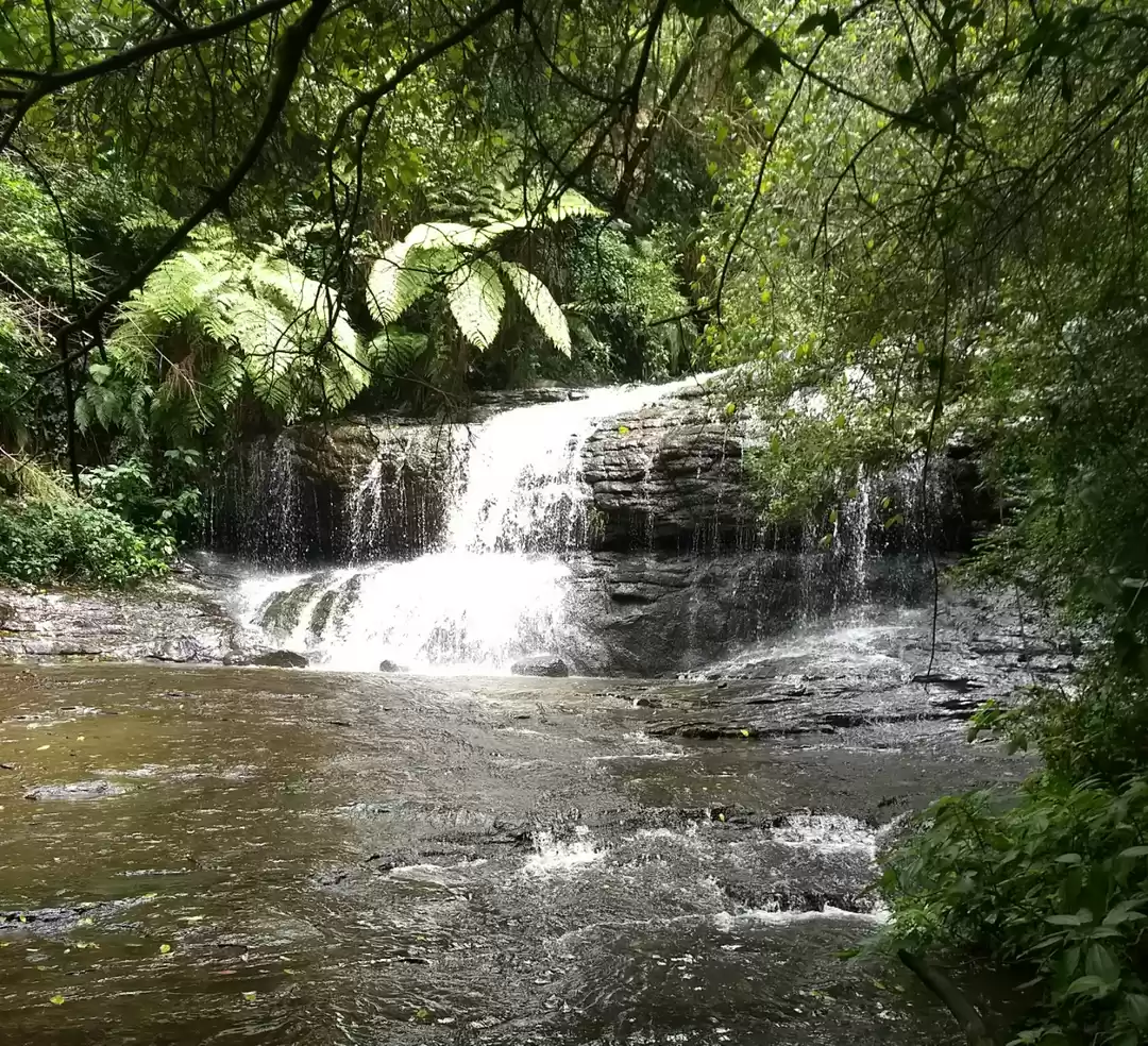 Photo of Vattakanal - A Midsu