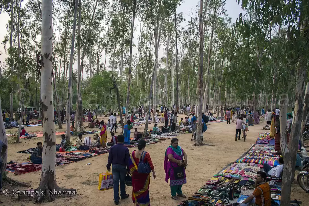 Photo of A Nobel Laureate’s m