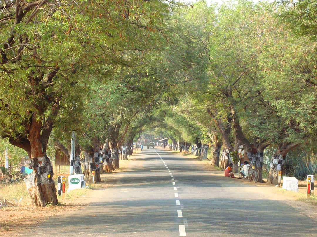 Get Bedazzled at Theni this Pongal - Tripoto