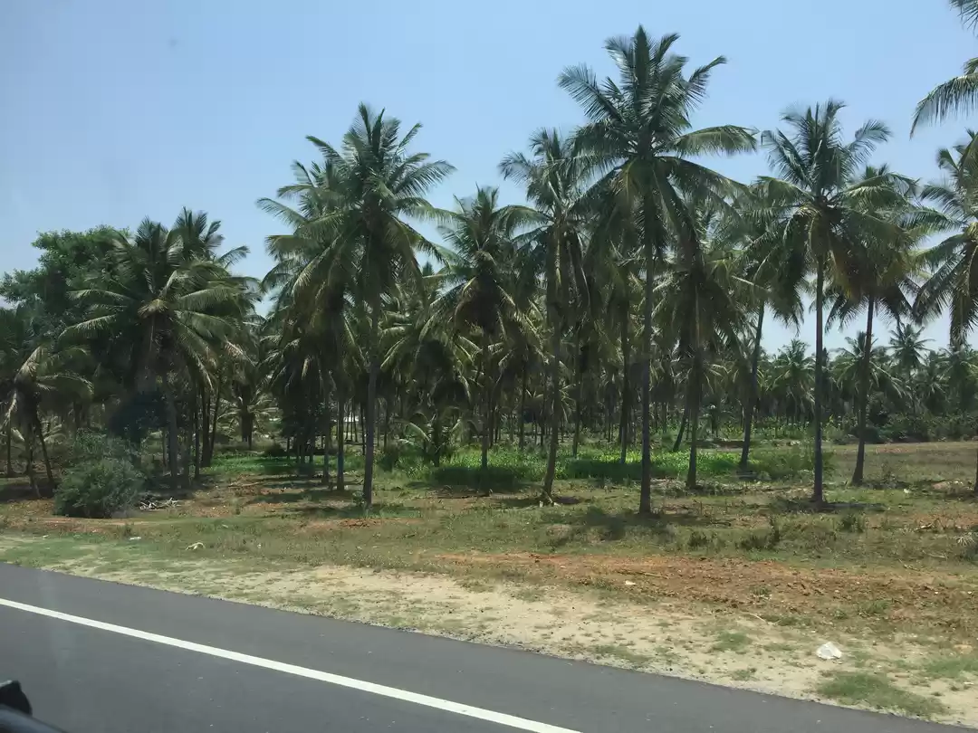 Photo of Chikmagalur - The La