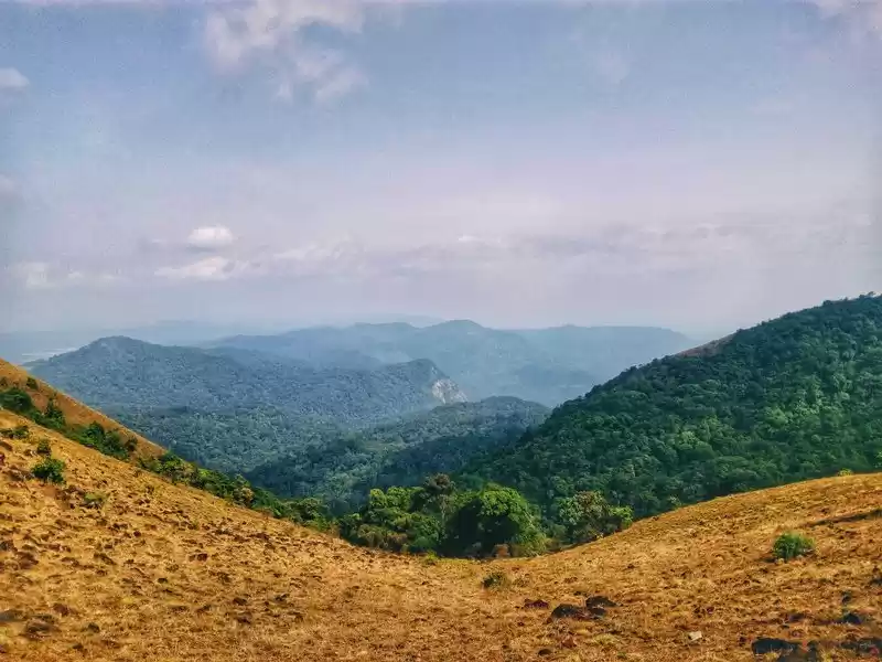 Photo of Kodachadri Trek - Th