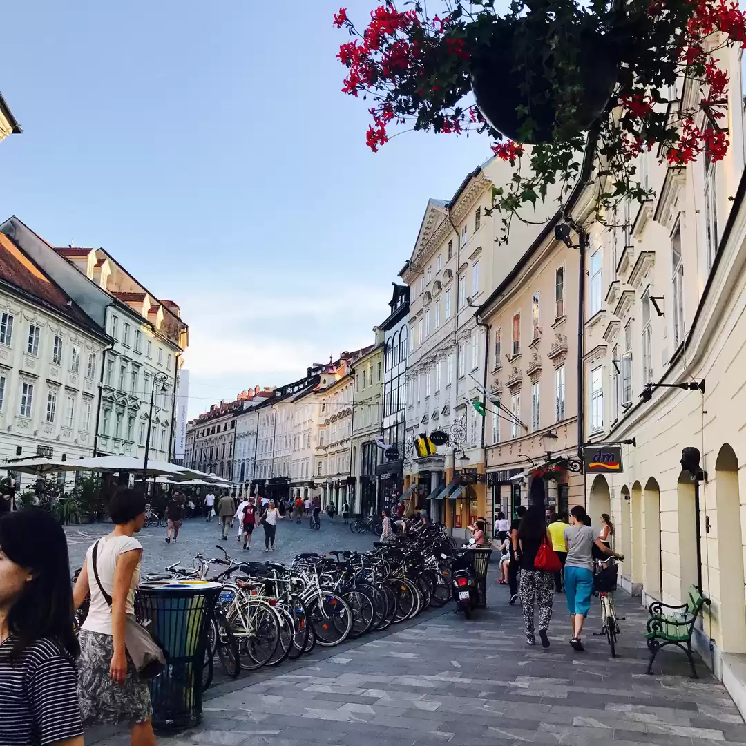 Photo of Why all nature lover