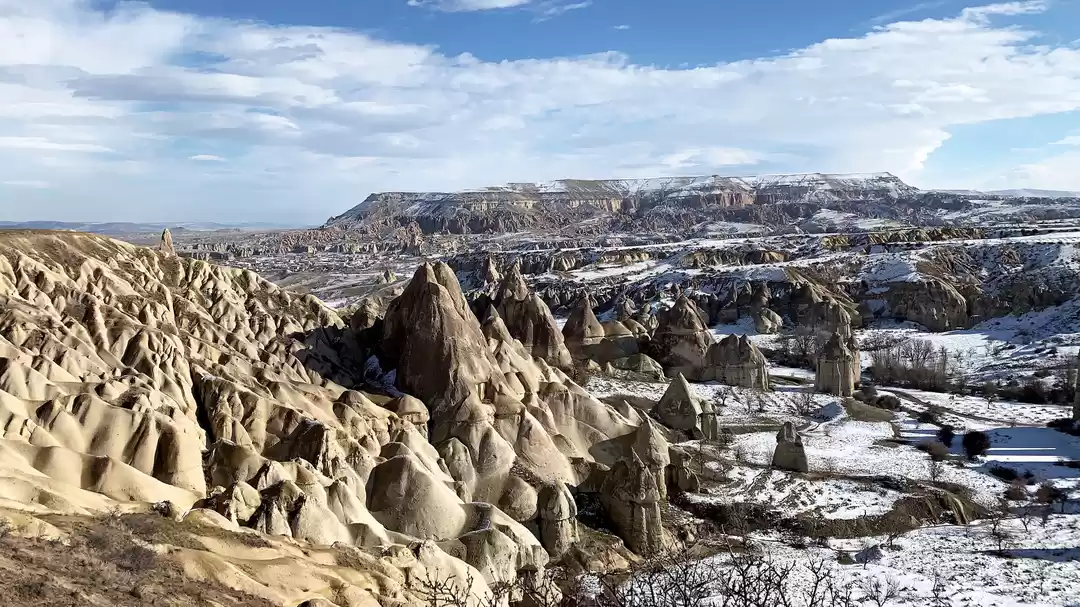 Photo of A surreal affair wit