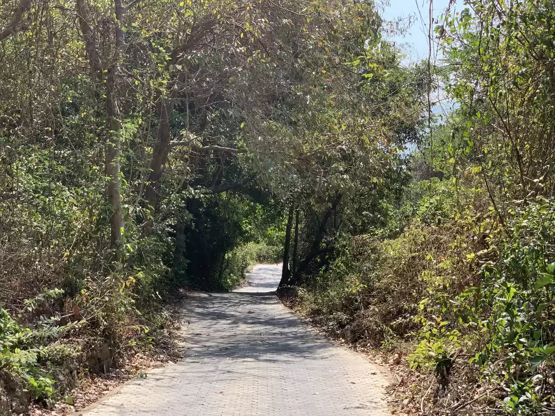 Photo of Where Vasco Da Gama 