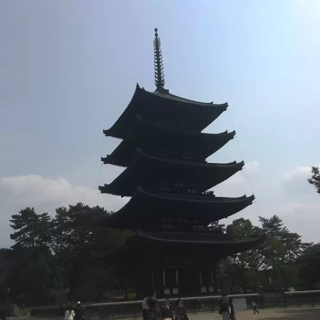 Photo of Japan Part 2 - Day t
