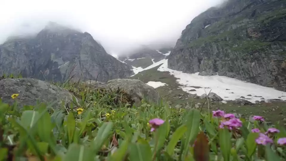 Photo of Why a moderate-level