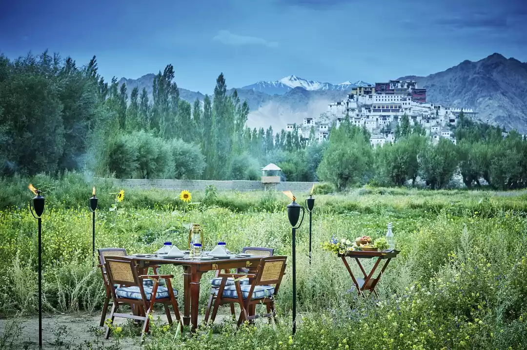 Photo of These 4 Indian Activ