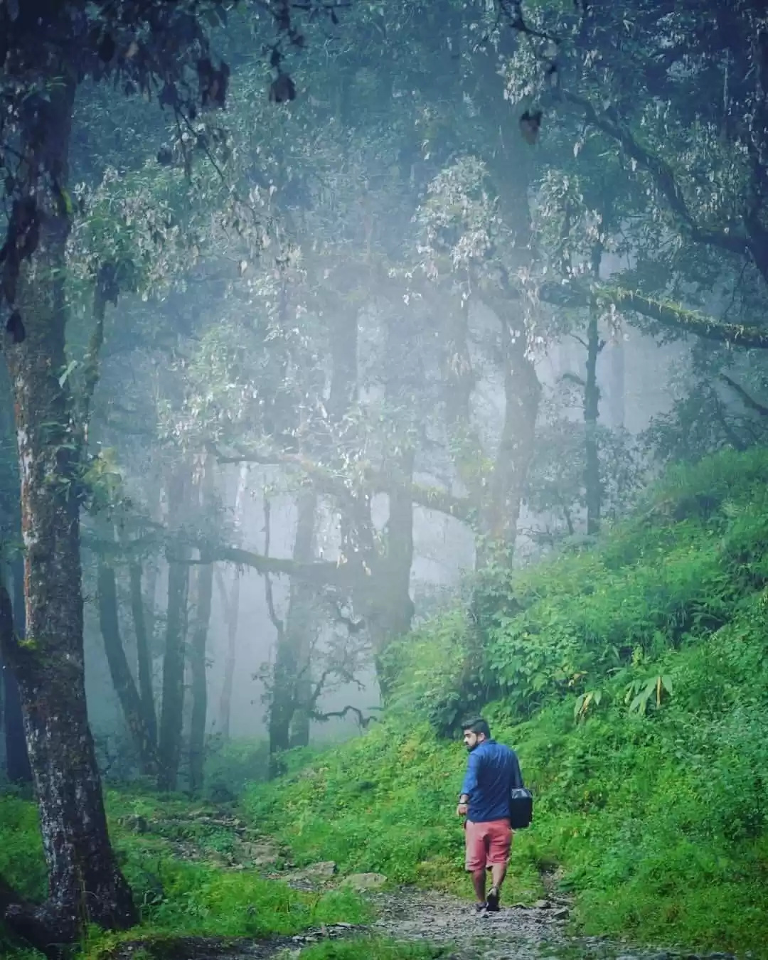 Photo of The misty affair in 