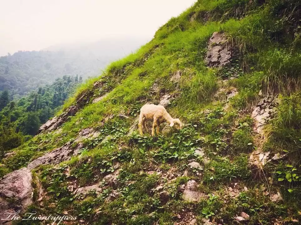 Photo of In search of Solitud