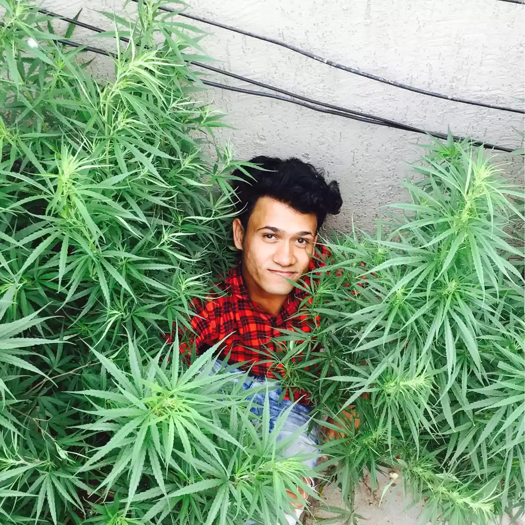 Photo of Shubham Raj Singh