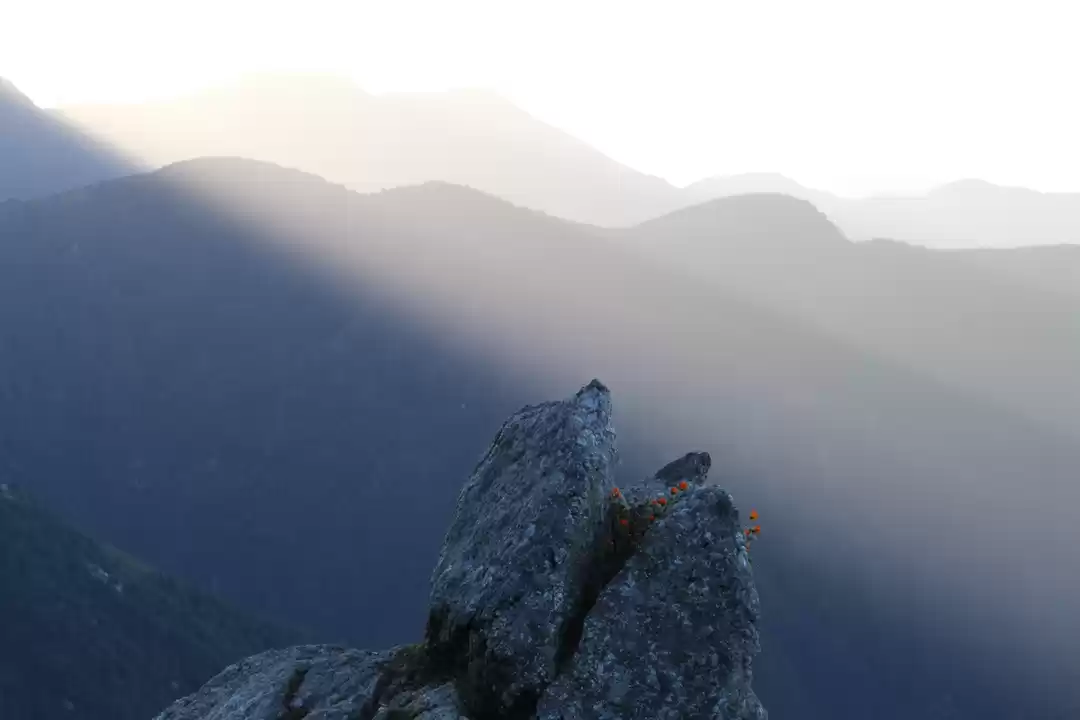 Photo of Let's drive to McLeo