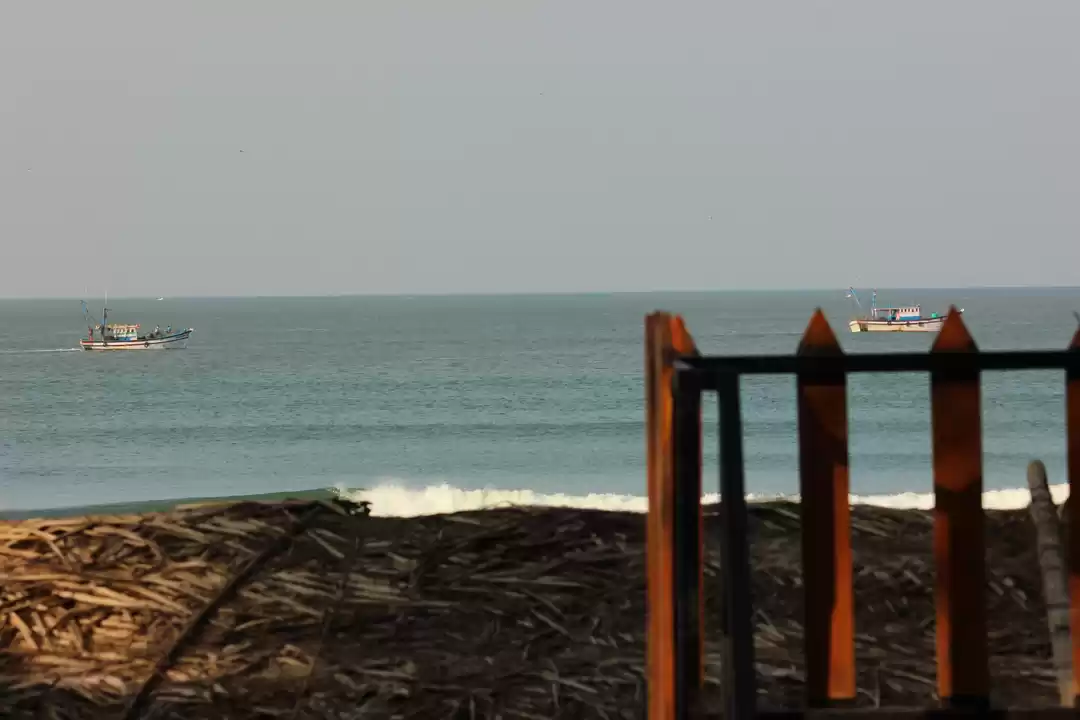 Photo of That Last Night in T