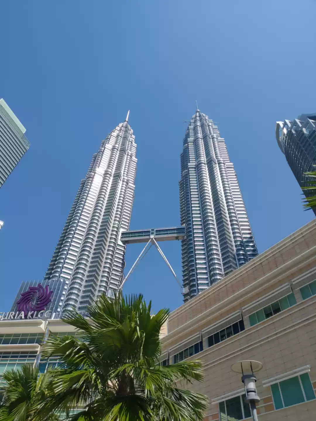 Photo of An amazing trip to S