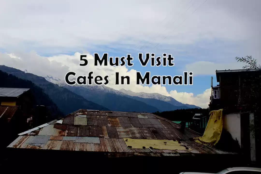 Photo of 5 Must Visit Cafes I