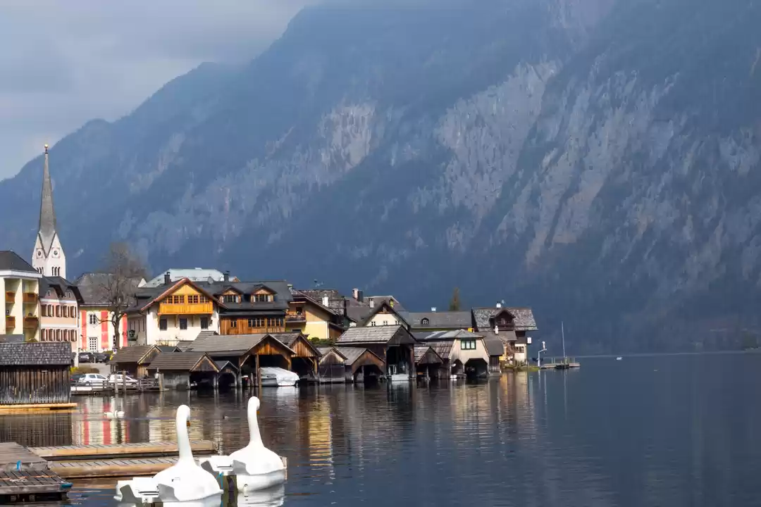 Photo of What Fairy Tales Are