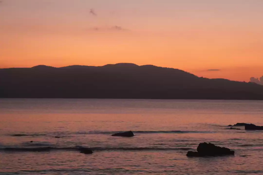 Photo of Chidiya Tapu and Mun