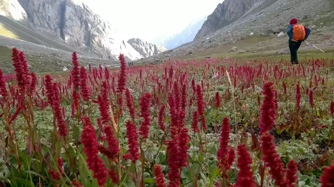 Photo of Why the Hampta Pass 