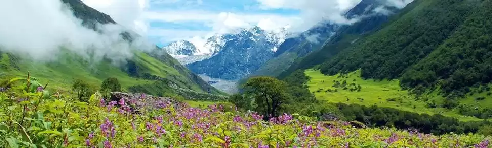 Photo of In the heart of Utta