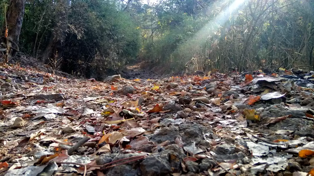 Photo of 1535 ft. Above the r