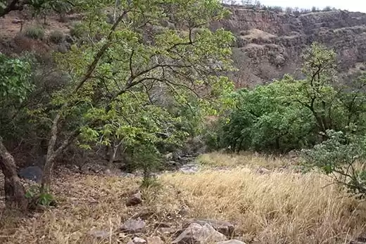 Photo of On The Trail