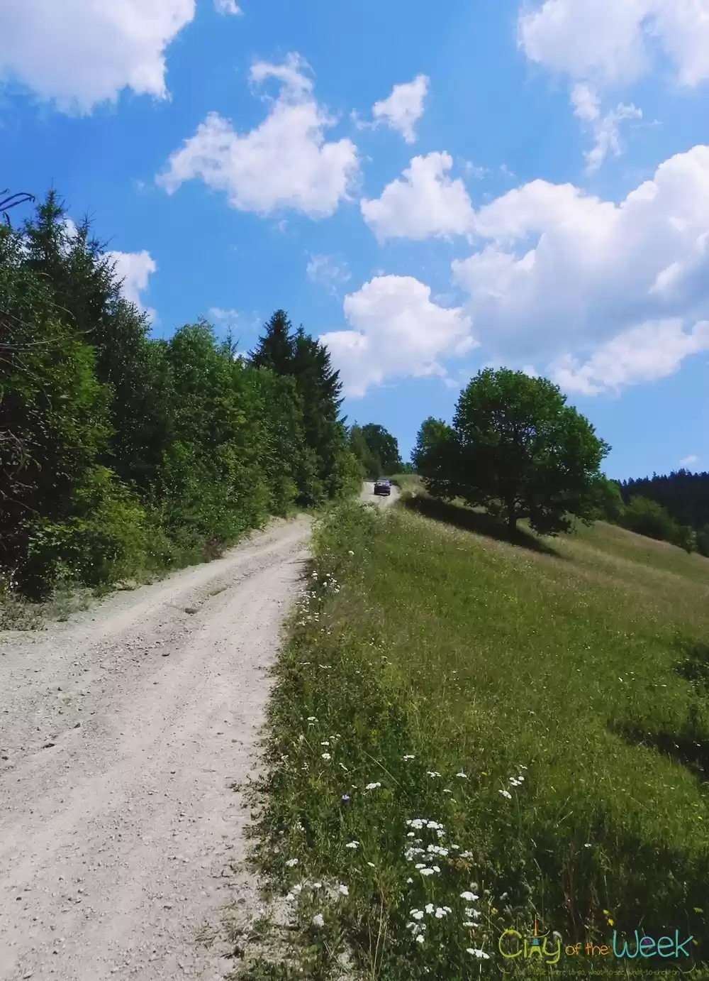 Photo of The Detunata - Roman