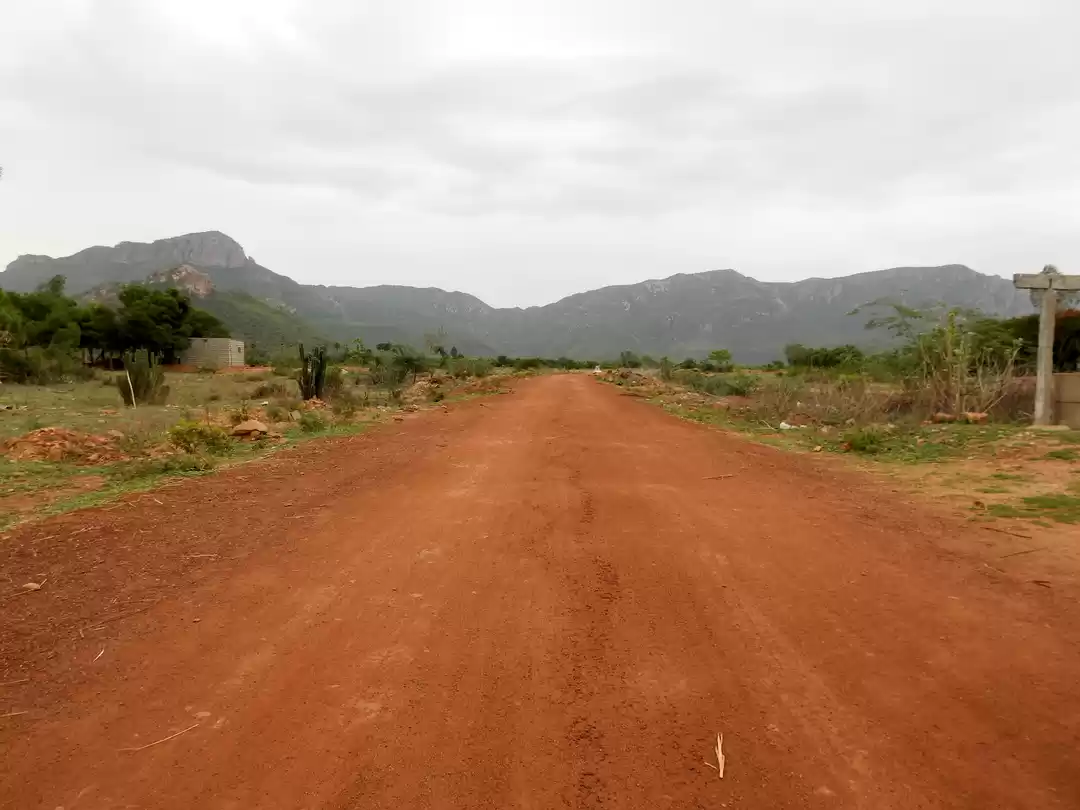 Photo of Trekking and Camping