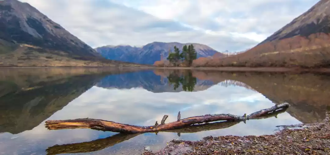 Photo of Detailed Breakdown o