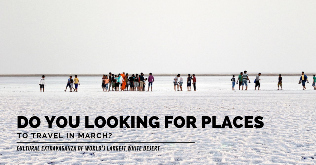 Photo of White Desert: The Ch