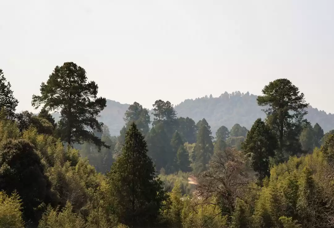 Photo of Let us break the myt