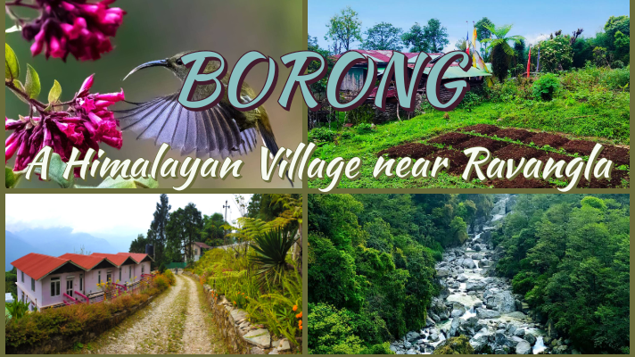 Photo of Borong: A Himalayan 