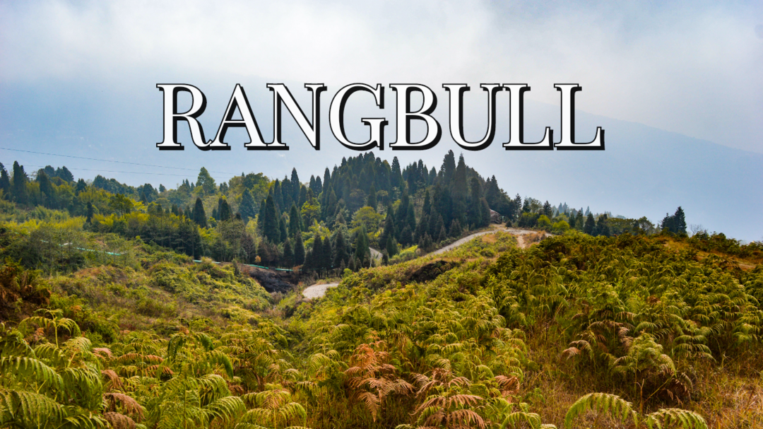 Photo of Rangbull - An Offbea