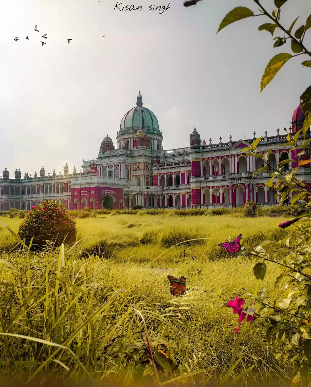 Photo of Did You Know About T