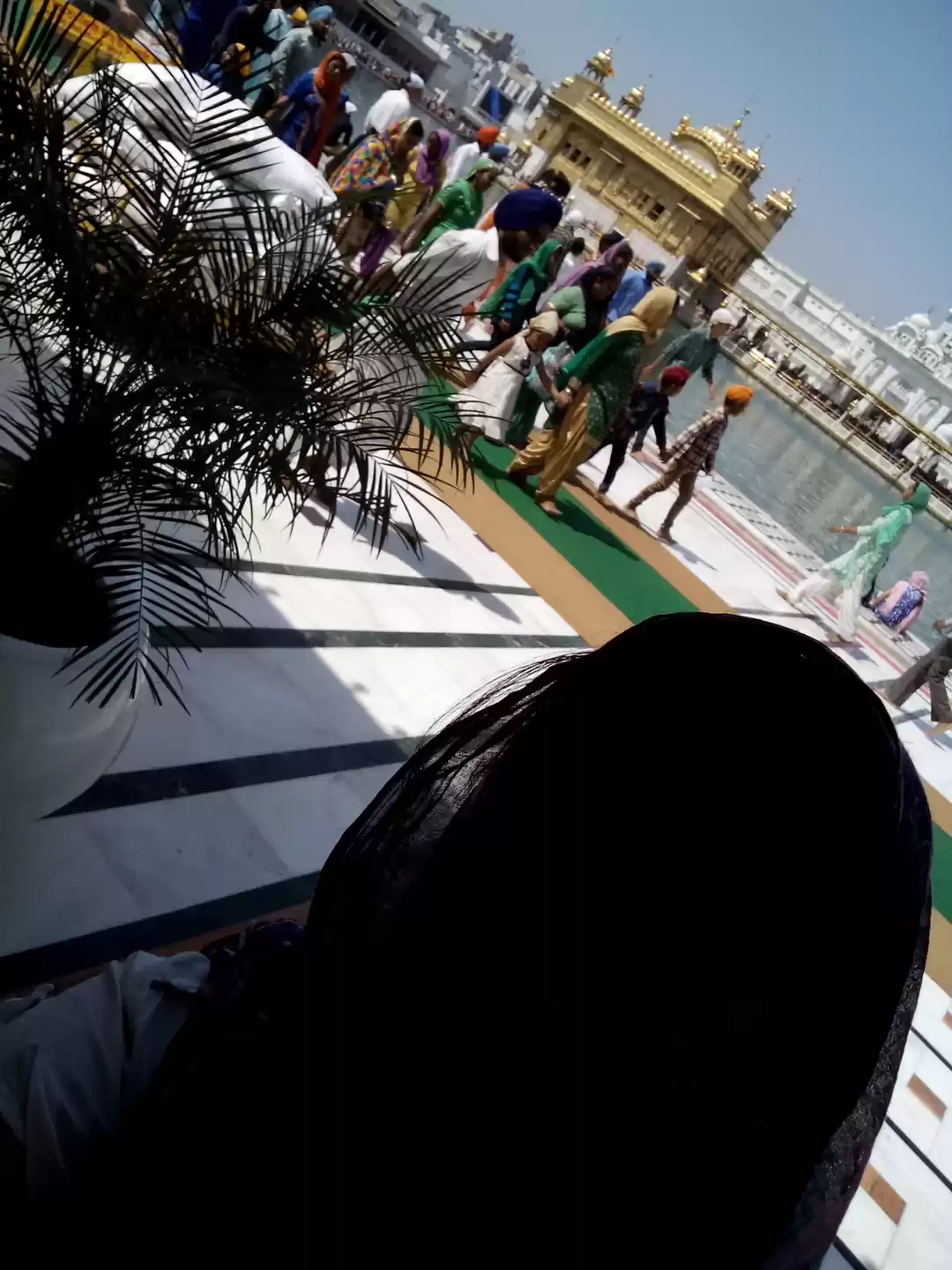 Photo of Building Their Own L