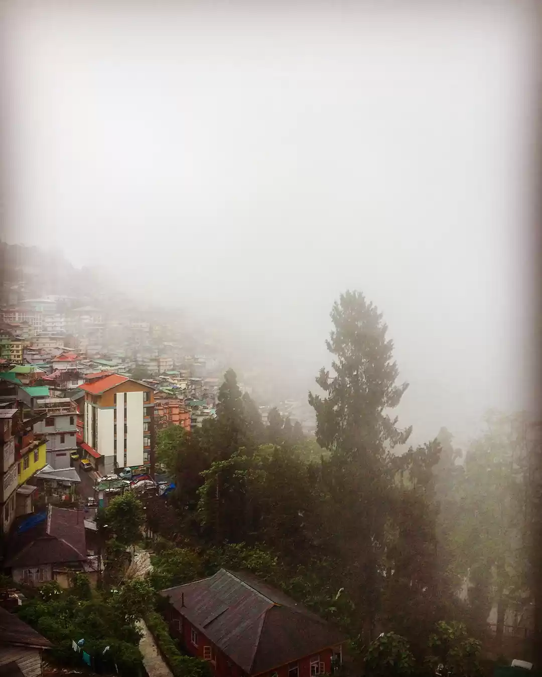 Photo of My whimsical Journey