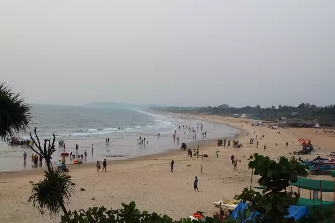 Photo of The Best Place for y