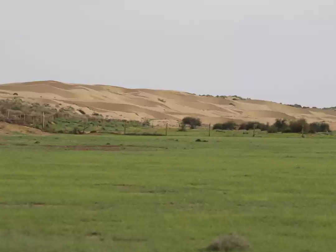 Photo of You Won't Believe Ho