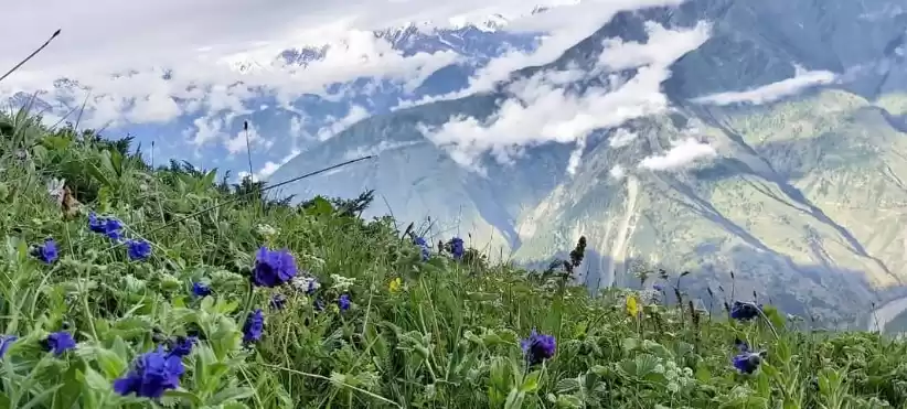 Photo of प्रकृति के बीच छुपा 