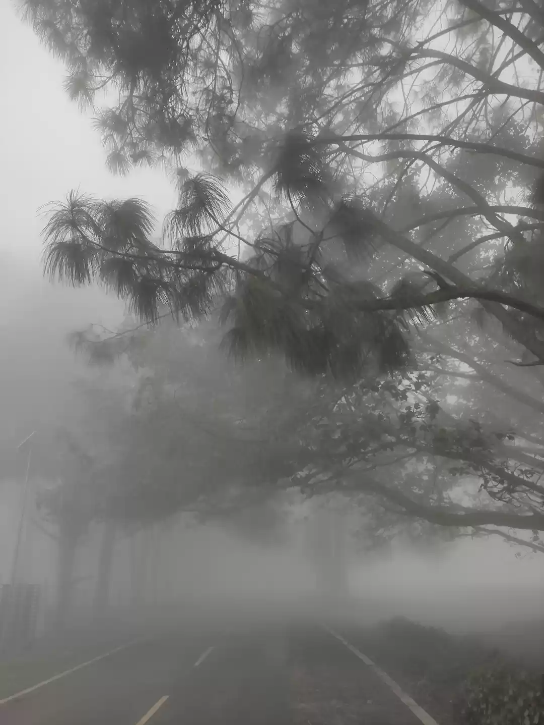 Photo of झारखण्ड में मौजूद अन