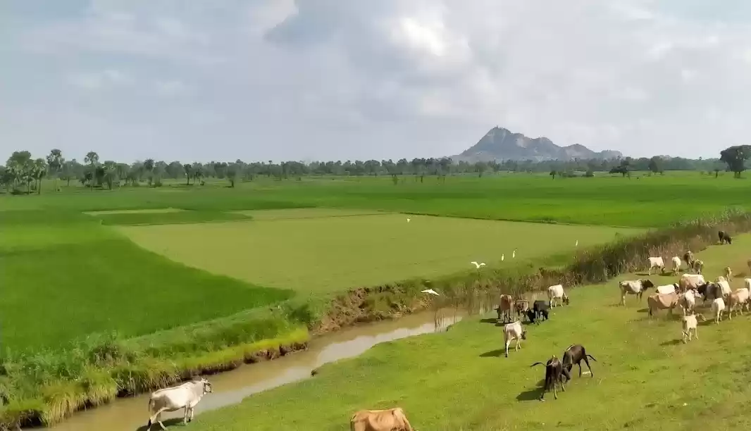 Photo of मंदार पर्वत: समुद्र 