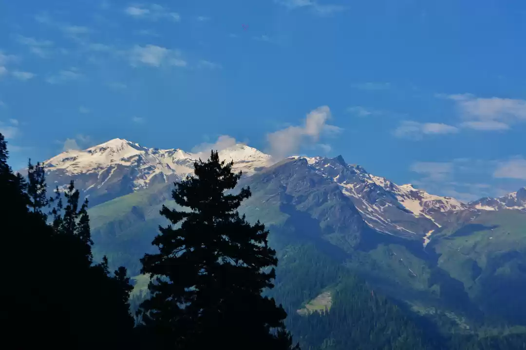 Photo of Pictures from Tosh K