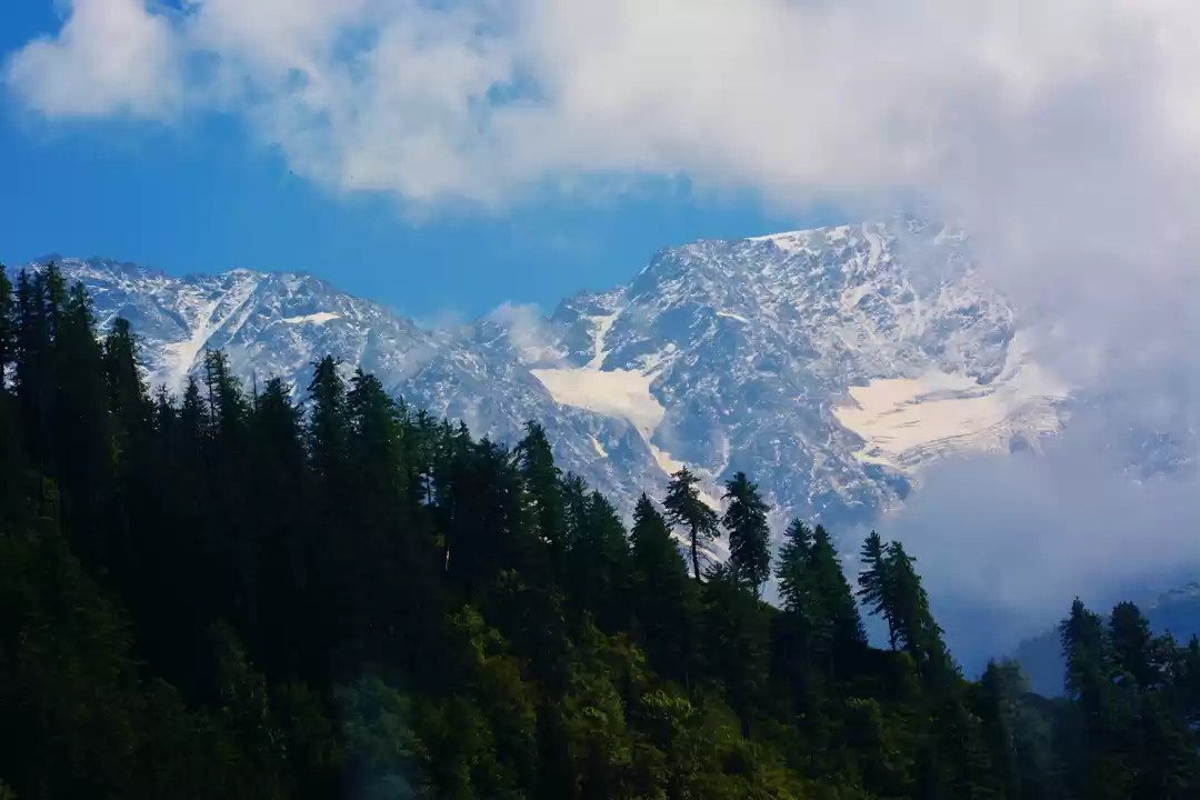 Photo of 10 Year Old Pictures