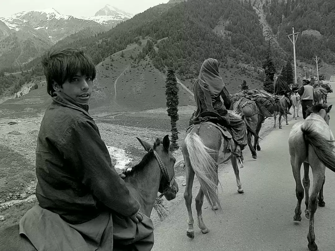 Photo of The Real Travellers