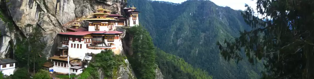 Photo of The supposedly happi